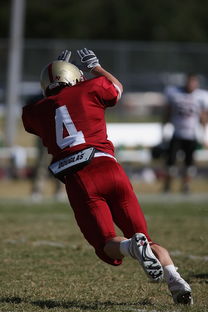 乐鱼官方登录入口-五大联赛的魅力：不同国家球队的差异化风格，5大联赛球队综合实力排名