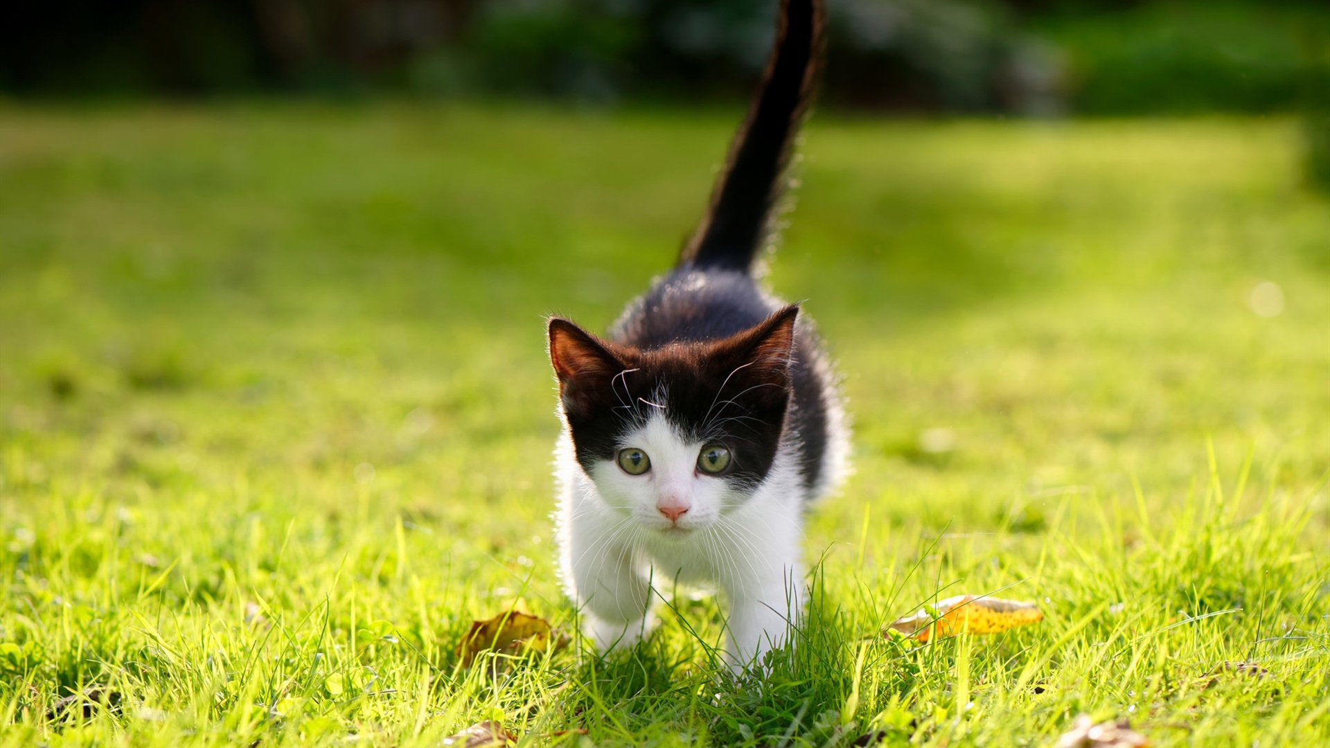 leyu.com-体育场馆设备维护规范，体育场馆内部设施维护管理