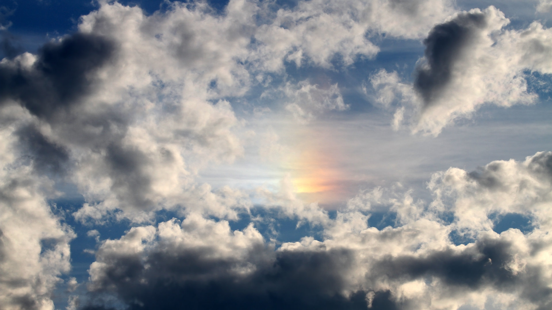 Leyu Sport下载-体育赛事观众服务创新举措,体育赛事服务内容有哪些