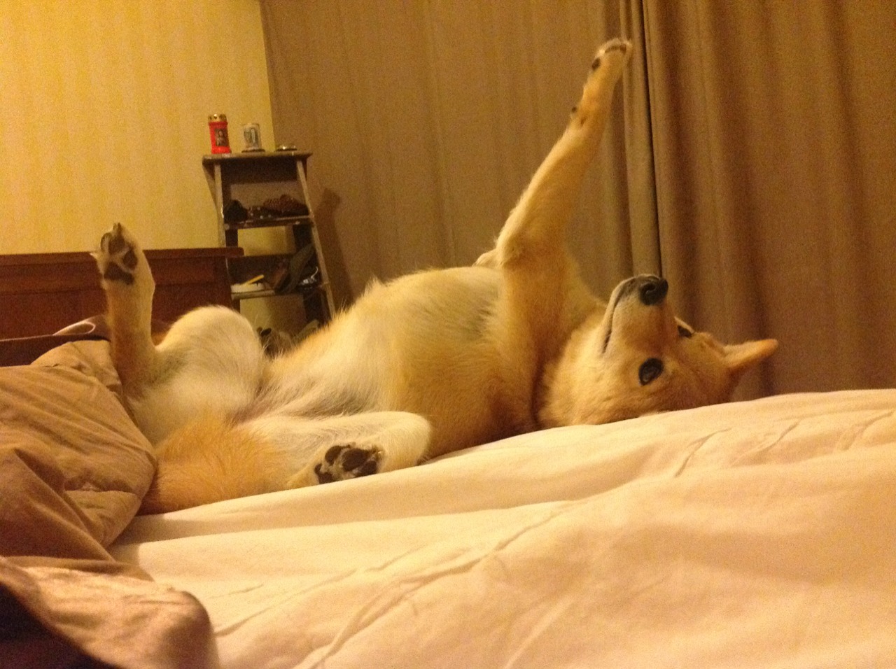 乐鱼电竞在线平台登录入口-德甲裁判吹罚尺度变化对比赛节奏及犯规趋势影响，足球吹裁判是什么意思