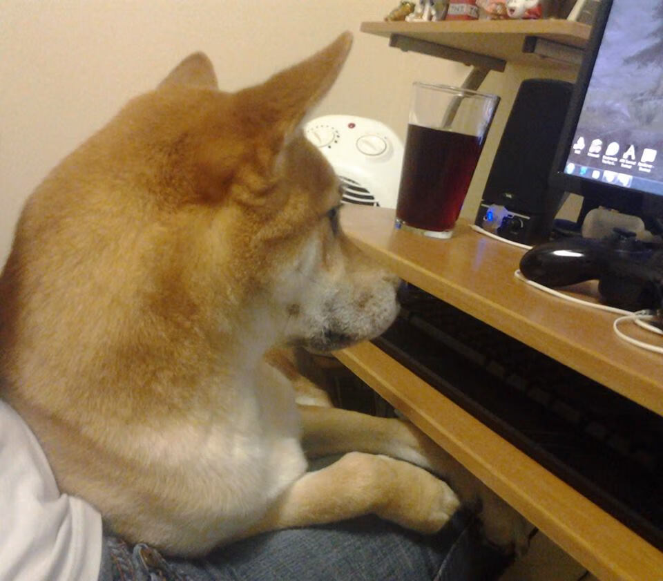 乐鱼（LEYU）体育-英超裁判组语义同步工具用于多裁联动判罚协同测试，英超裁判主队