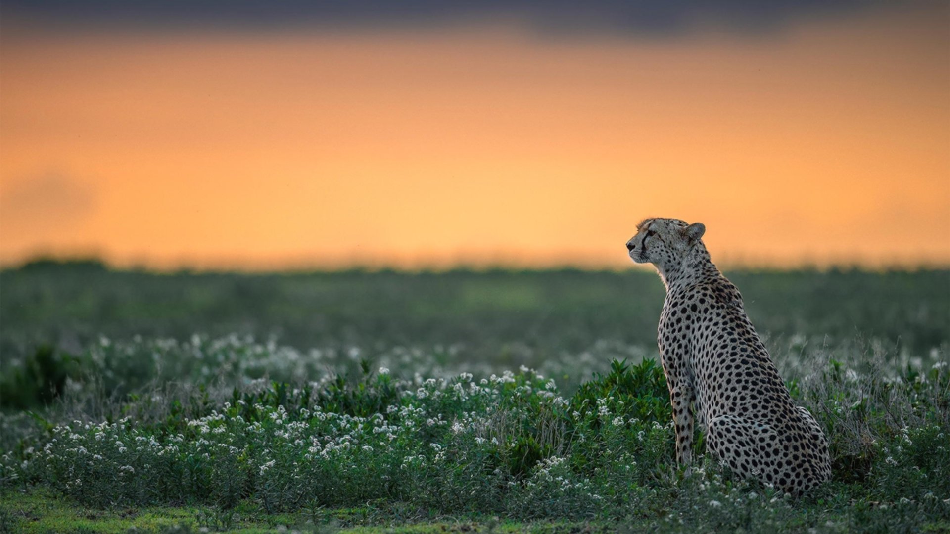 leyu乐鱼官网登录入口-中国女篮加强防守训练 打造坚固防线，中国女篮咋样