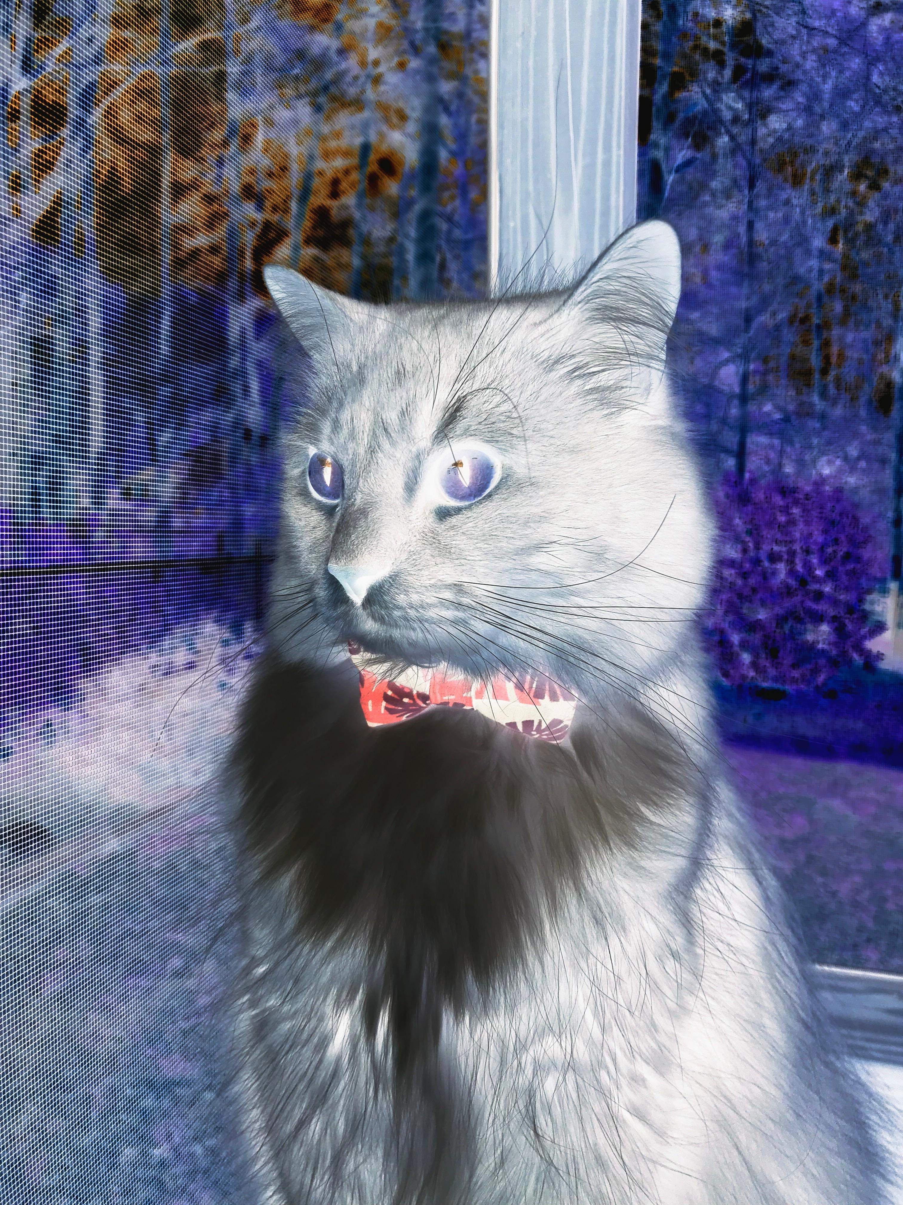 乐鱼体育App下载-网坛大满贯选手因禁药被禁赛两年,网坛全满贯球员