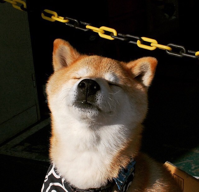 乐鱼体育App下载-美洲杯豪门争锋：抗压能力与战术应变的考验