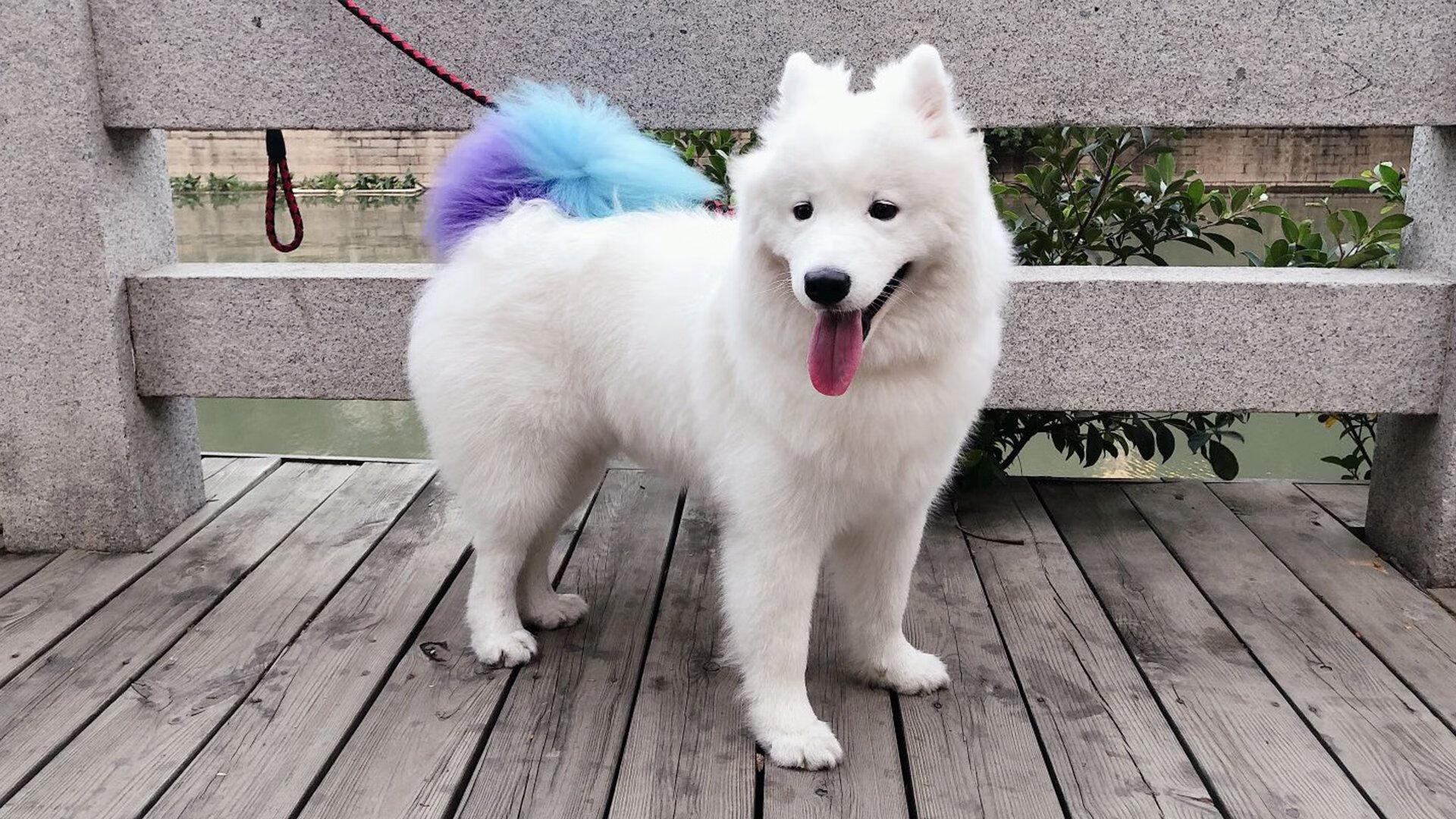 Leyu Sport下载-赫梅列夫斯基技术细腻全程控制，梅赫里斯