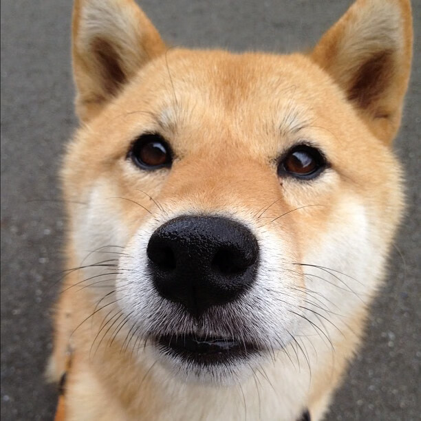 Leyu Sports (乐鱼体育)-青少年足球讲座火热举行，培养运动兴趣，青少年足球讲座火热举行,培养运动兴趣